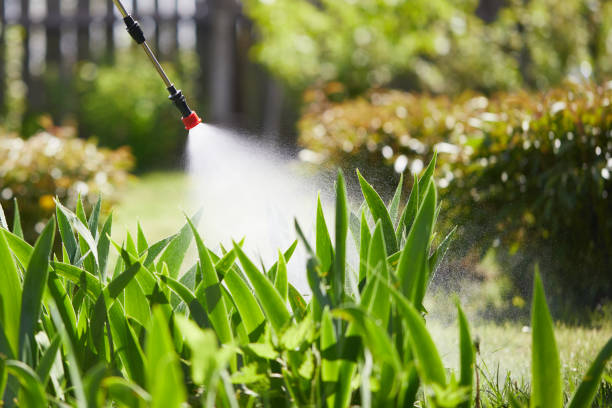24/7 Emergency Wasp Removal experts in Mackinac Island, MI