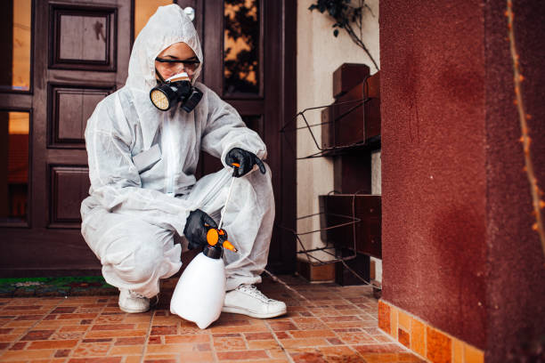 Reliable Wasp Removal contractor in Mackinac Island, MI by Show Me Pest Control