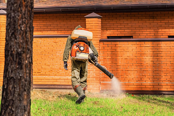 Top rated local Wasp Removal specialists in Mackinac Island, MI